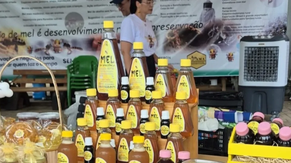 Sabores da Colmeia destaca potencial da apicultura e meliponicultura na 2ª edição da Agrotec 2026
